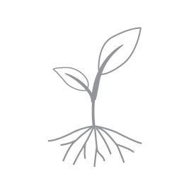 Annies Plant Icon