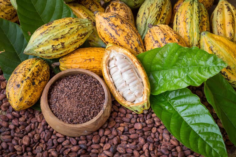 Annies Top Ingredients Cacao
