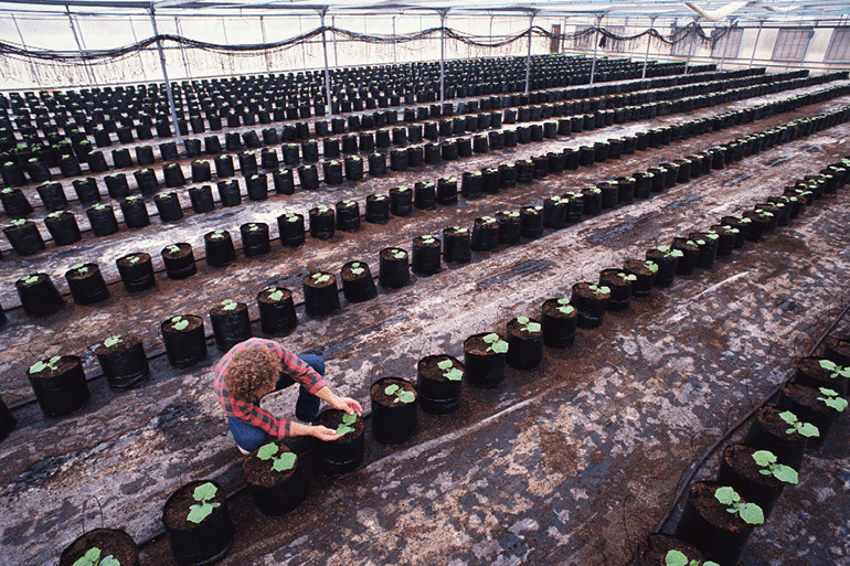 Healthier Soil