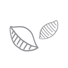 A gray and white illustration of two macaroni shell noodles