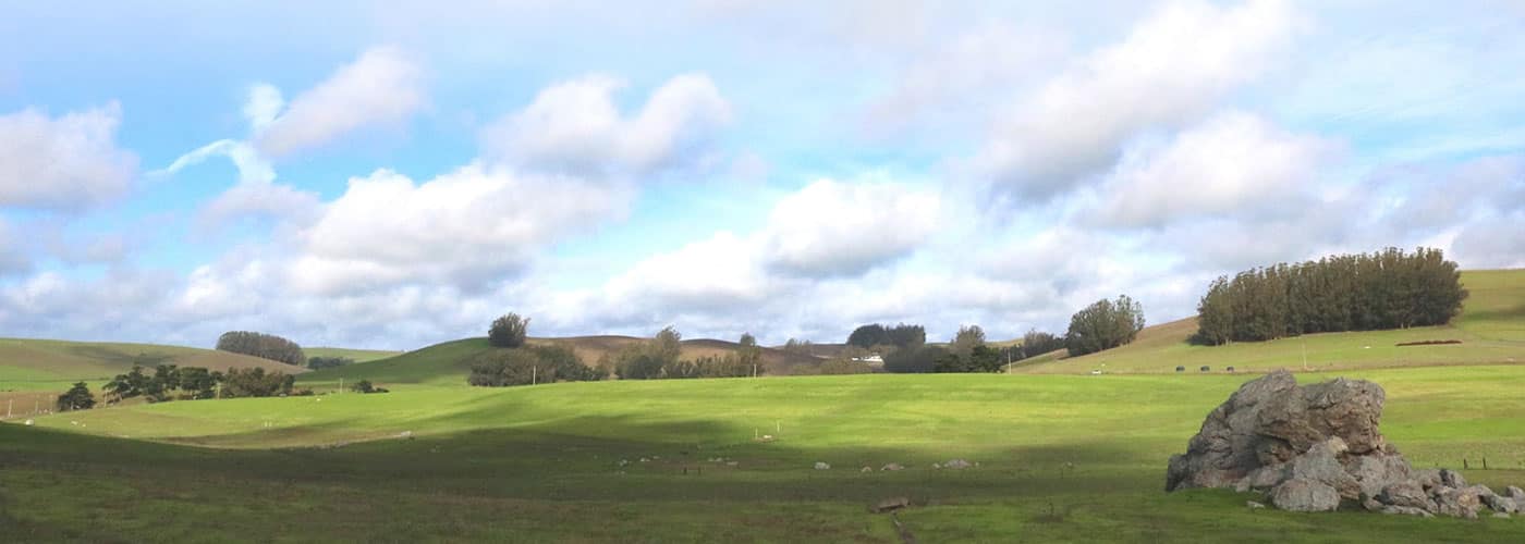 An open green field with a blue sky with several clouds